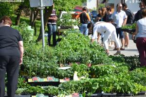 Sejem križani četrtek 10.05.2018 26